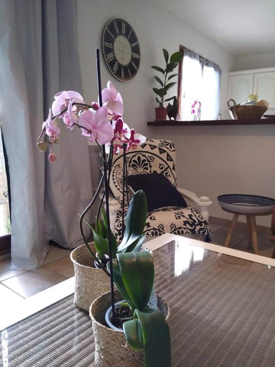 Gite Avec Vue Imprenable Sur La Cite Villa การ์กาซอน ภายนอก รูปภาพ