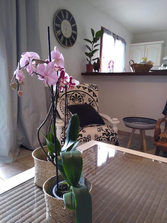 Gite Avec Vue Imprenable Sur La Cite Villa การ์กาซอน ภายนอก รูปภาพ